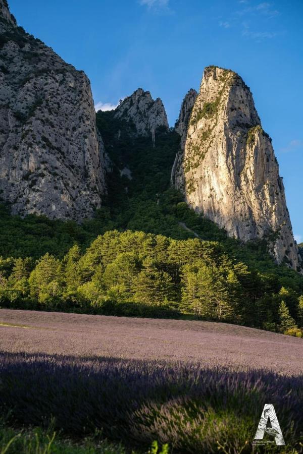 Les Appartements Du Saint Thiers, La Provence Dans Un Coin De La Drome Et L'Esprit D'Une Maison D'Hotes A Saou Buitenkant foto